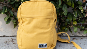 Backpacks & Laptop Bags