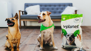 Pet Food