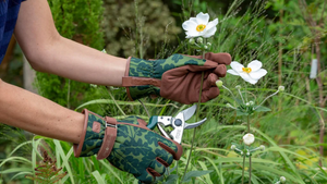 Gardening Gloves