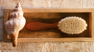 Brushes